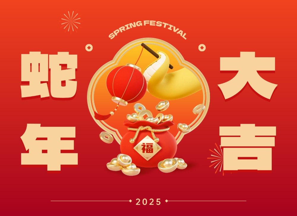 巳巳如意，生生不息 | 2024年木之信息年终盛典！